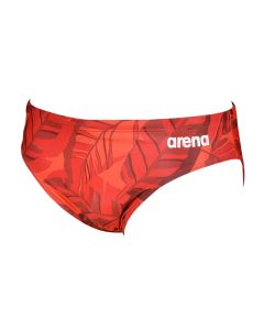 Arena Tropicals Brief